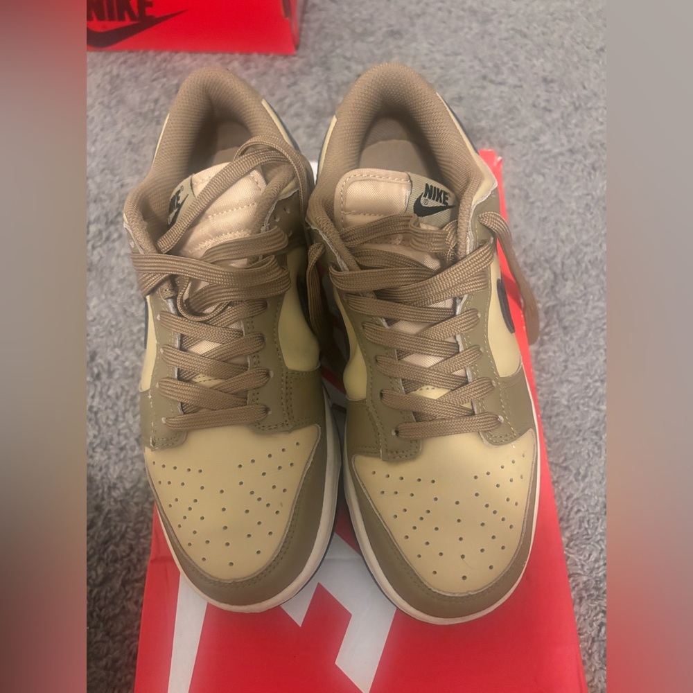 Women Nike Dunk Low (Driftwood/Black/Sesame Sail)